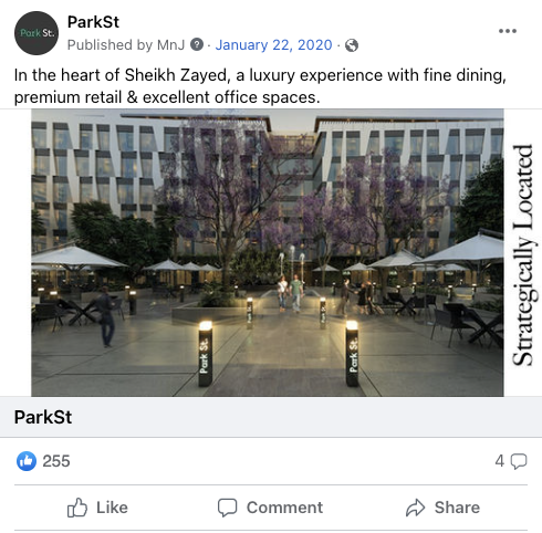 Park St. development campaign